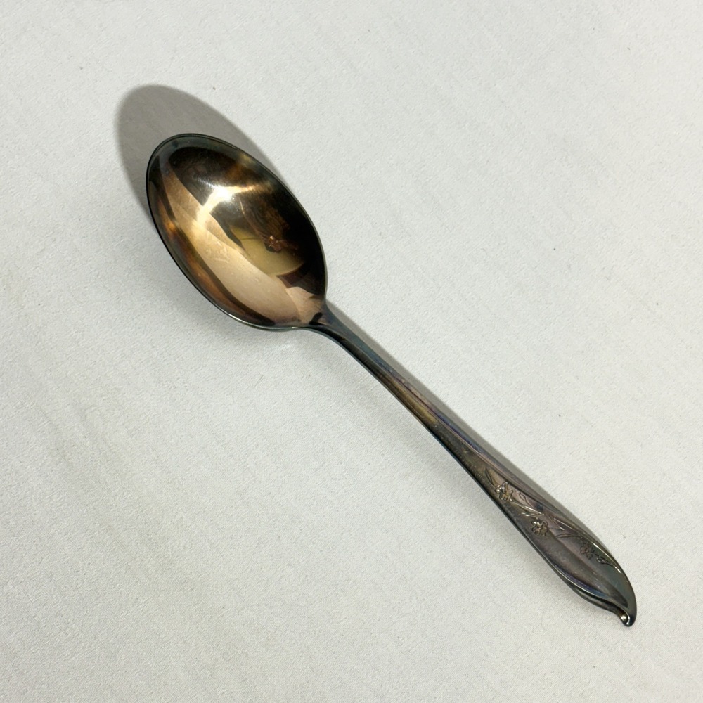 Vintage 1847 Rogers Bros Silverplate Spoon Springtime Floral Pattern Flatware